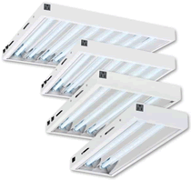 Maxlume 2 foot family